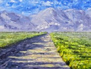 Spring Road
12x36
$575