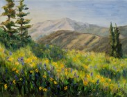 Elkton Wildflowers
9x12
$275.00 (sold)