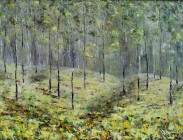 Aspen Light III
24x36
$1,800 (sold)