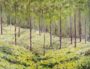 Aspen and Wildflowers
24x36
$1,800