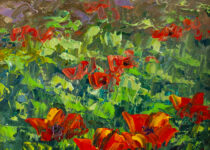 Poppies in Paradise
10x8
$375