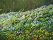 Lupine Trail
36x48
$3,600 (Sold).