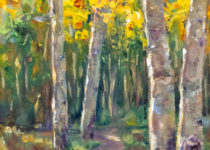 A Walk In The Woods
10x8
$395