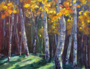 Backlit Aspens in Fall 
30 x 24 
(Sold) $1100