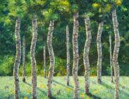 A few of my Favorite Things
36x36
$3,200