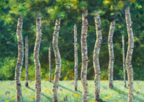 A few of my Favorite Things
36x36
$3,200