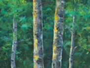 Upper Loop Afternoon
30x12
$1,100