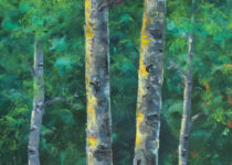 Upper Loop Afternoon
30x12
$1,100